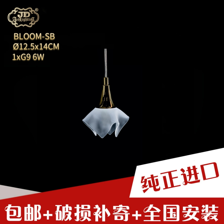 捷克工厂原装进口后现代入户玄关餐厅卧室手工磨砂玻璃花苞吊灯